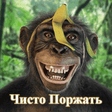 Icona del programma: Чисто Поржать