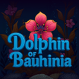 Icon of program: Dolphin of Bauhinia