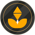 Icon of program: B Gold Network