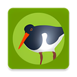 Icon des Programms: Die Vogel App