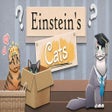 Programmsymbol: Einstein's Cats