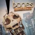 程序图标: Bones: Wandering Soul