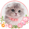 Icône du programme : Cute Cat Live Launcher Th…