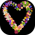 Icône du programme : Live flowers drawing & Sk…