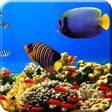 プログラムのアイコン: Free Aquarium Undersea LW…