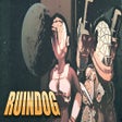 プログラムのアイコン: Ruindog