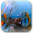 Icon des Programms: Aquarium Widget
