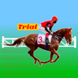 Icon des Programms: HorseRace Manager Trial