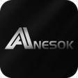 プログラムのアイコン: ANESOK