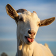 プログラムのアイコン: Goat Fighting Game- Goat …