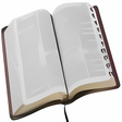 Icon of program: Bible Verse Reminder