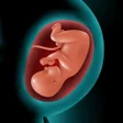 Ikona programu: Astha Pregnancy