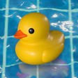 Icona del programma: Placid Plastic Duck Simul…