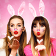 程序图标: Cute Rabbit Face