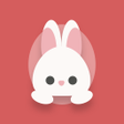 Icon des Programms: BunnyNet  Easy Secure VPN