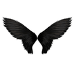 Icon des Programms: Wings Photo Editor