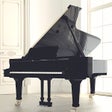 Icono de programa: Piano 10
