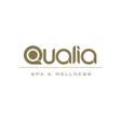 Icône du programme : Qualia