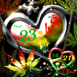 Icon des Programms: REGGAE LOVE+PEACE LWP Tri…