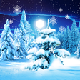 Icon des Programms: Winter Forest Live Wallpa…