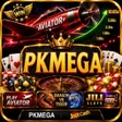 Ikona programu: pkMega