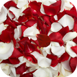 Icono de programa: Rose petals Live Wallpape…