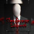 プログラムのアイコン: Slenderman : The Maze Fea…