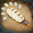 Icon des Programms: Antpire: Survival