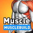 Icône du programme : MuscleBuild