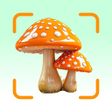 Icon des Programms: Mushroom Identifier - Shr…