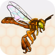 Icon des Programms: Be a Bee: Seja uma Abelha