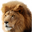 Ikona programu: Mac OS X Lion Wallpapers