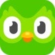 Icône du programme : Duolingo