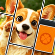 プログラムのアイコン: Drop Solitaire - Card Puz…