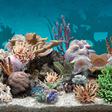 プログラムのアイコン: 3D Aquarium Live Wallpape…