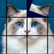 Icon des Programms: Jigsolitaire: Anti Stress