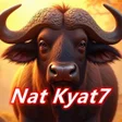 Ikona programu: Nat Kyat7