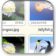 Icon of program: FastStone Image Viewer