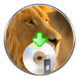 Icon des Programms: Lion Disk Maker