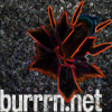 Icona del programma: Burrrn