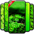 Icon des Programms: Green Wallpaper