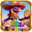 程序图标: 28z rial Drag