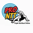 Icon des Programms: PRO NTT