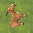 Icon des Programms: Scavenger Fly