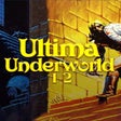 Ikona programu: Ultima Underworld 12