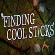Icon des Programms: Finding Cool Sticks