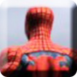 Icône du programme : Spider Web of Shadows Fig…