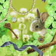 Icona del programma: うさぎ壁紙 Rabbit and Happines…