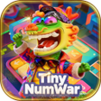 Icon des Programms: Tiny NumWar