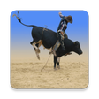 プログラムのアイコン: Learn Bull Riding